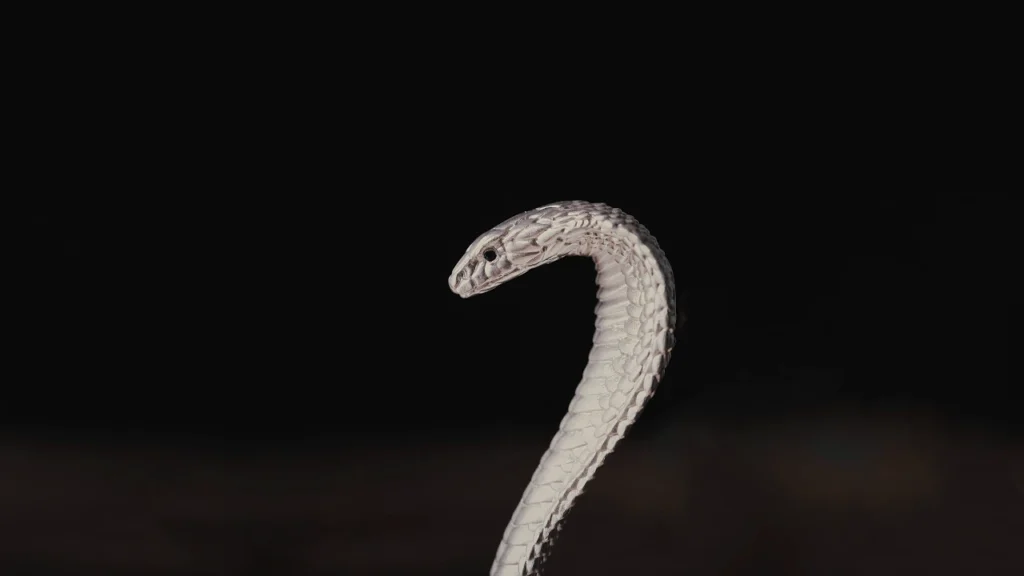 Silver snake